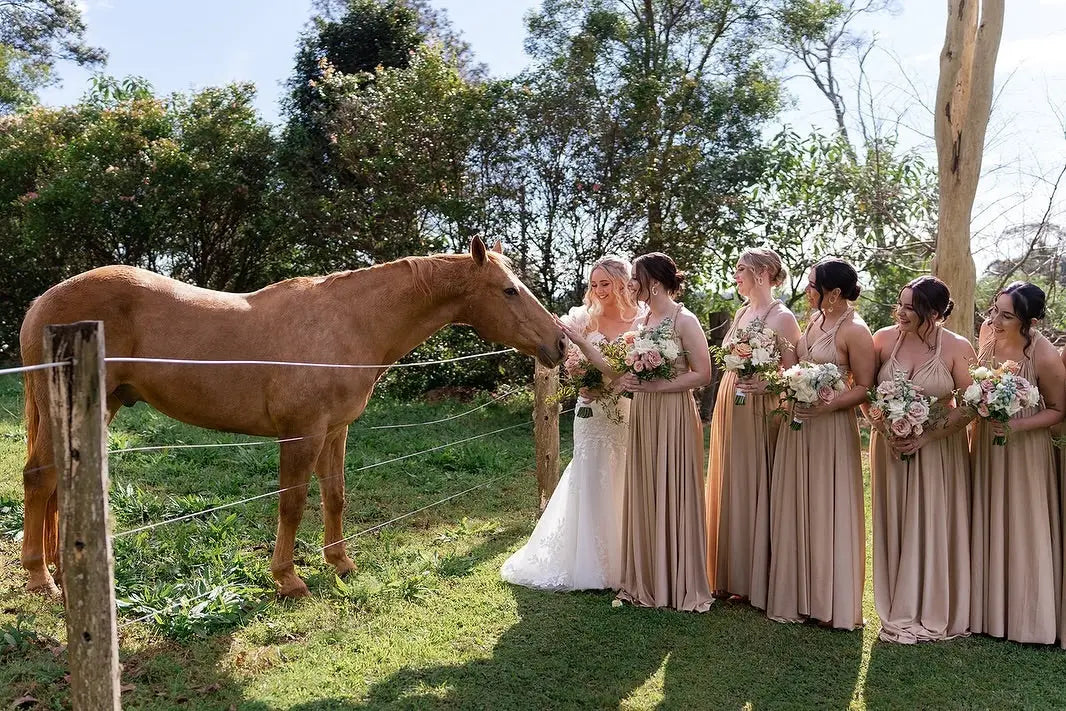 Bride and bridesmaids with a horse in infinity dress Australia for Gabrielle and Cristian